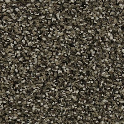 Mohawk - Taupe Delight - Natural Opulence I - SmartStrand Silk - Carpet