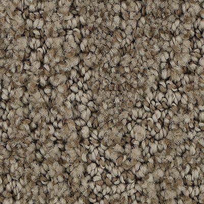 Mohawk - Ancestral - Stylish Trend - EverStrand - Carpet