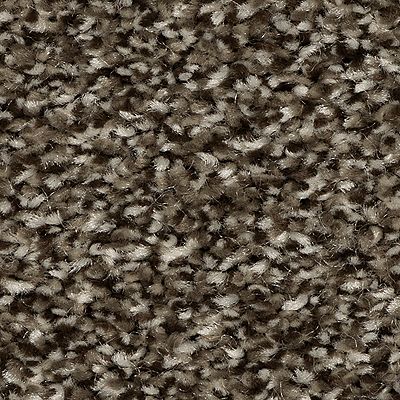 Mohawk - Powerful - Refreshing Shades - EverStrand - Carpet