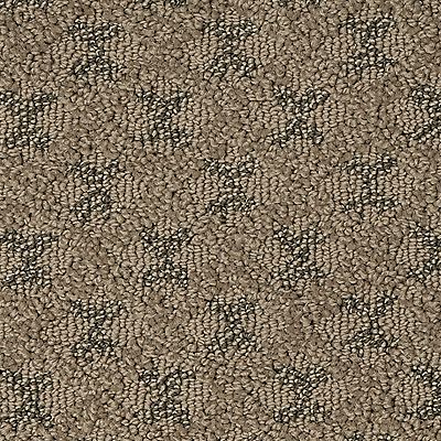 Mohawk - Windsong - Opulent Details - SmartStrand - Carpet
