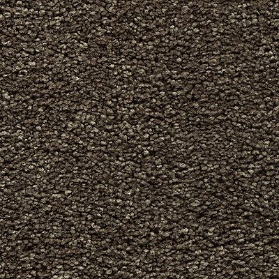 Mohawk - Longhorn - Bold Choice - EverStrand - Carpet