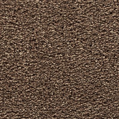 Mohawk - Cattails - Bold Choice - EverStrand - Carpet