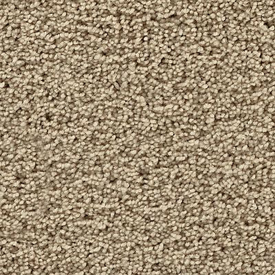 Mohawk - Saloon - Gentle Path - SmartStrand - Carpet