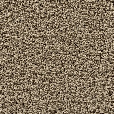 Mohawk - Peanut Shell - Gentle Path - SmartStrand - Carpet