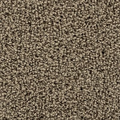 Mohawk - Salutation - Gentle Path - SmartStrand - Carpet