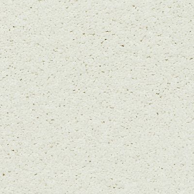 Mohawk - Allure - Exciting Selection I - SmartStrand - Carpet