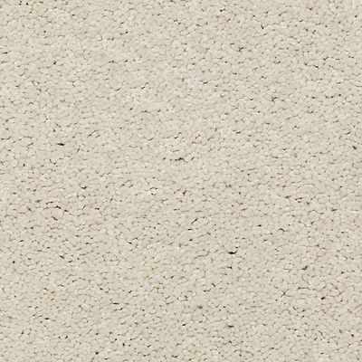 Mohawk - Lovely - Exciting Selection I - SmartStrand - Carpet