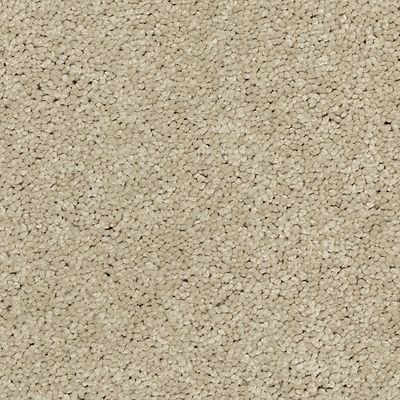 Mohawk - Dreamy - Exciting Selection I - SmartStrand - Carpet