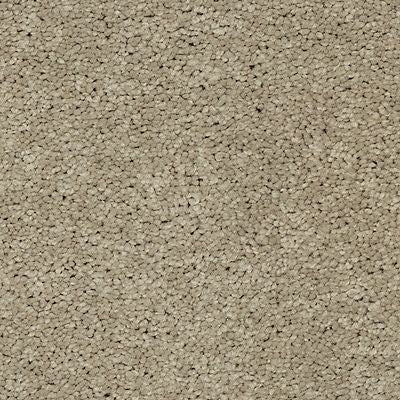 Mohawk - Poetic - Exciting Selection I - SmartStrand - Carpet