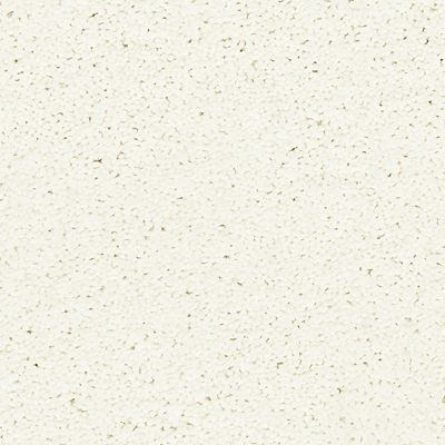 Mohawk - Allure - Exciting Selection II - SmartStrand - Carpet