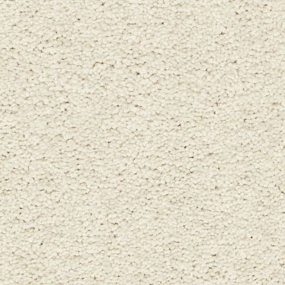 Mohawk - Fetching - Exciting Selection II - SmartStrand - Carpet