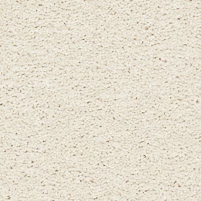 Mohawk - Lovely - Exciting Selection II - SmartStrand - Carpet