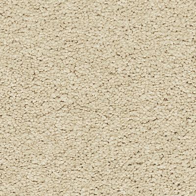 Mohawk - Dreamy - Exciting Selection II - SmartStrand - Carpet