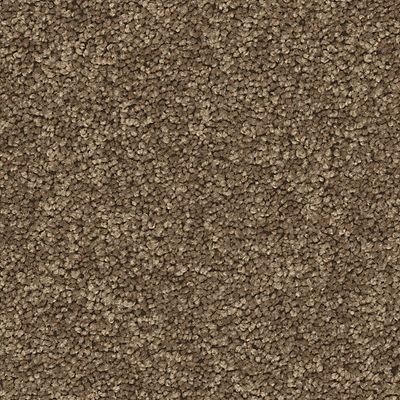 Mohawk - Outrigger - Exciting Selection II - SmartStrand - Carpet