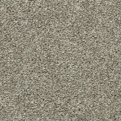 Mohawk - Highlander - Thrilling Choice I - SmartStrand - Carpet