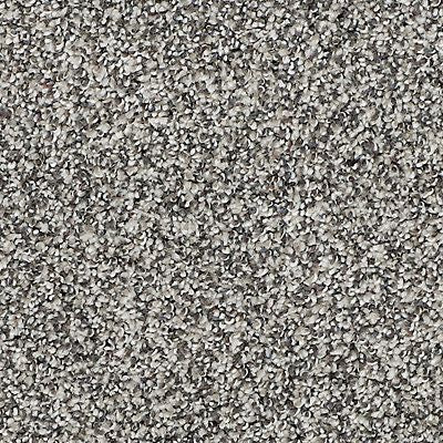 Mohawk - Enchanting - Lavish Direction - SmartStrand - Carpet