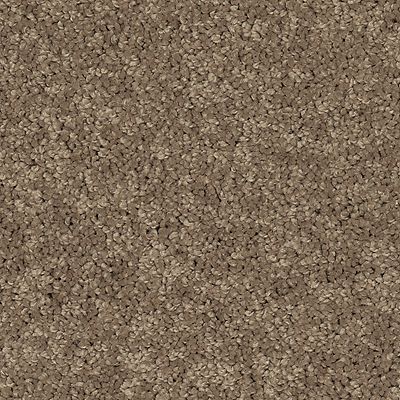 Mohawk - Stetson - Soft Edition I - EverStrand - Carpet