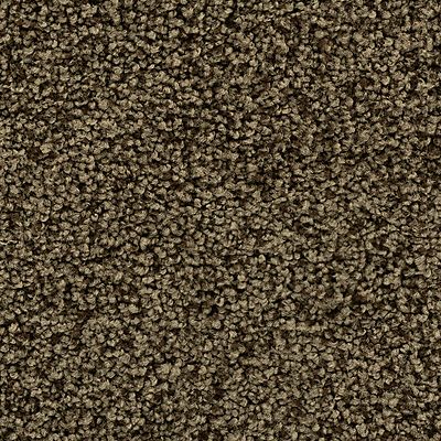 Mohawk - Native Soil - Enchanting Glamour - UltraStrand - Carpet