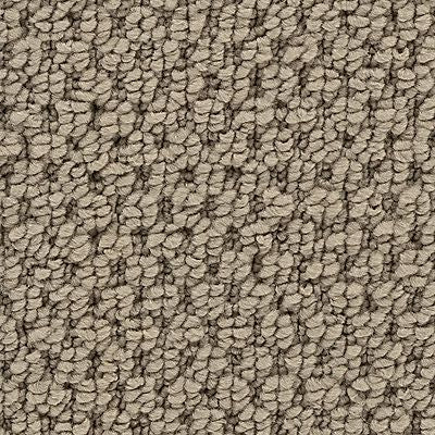 Mohawk - Highlander - Remarkable Quality - EverStrand - Carpet