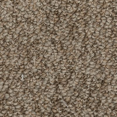 Mohawk - Kodiak - Enduring Amazement - EverStrand - Carpet