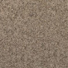 Mohawk - Renoir - Soft Details I - EverStrand Soft Appeal - Carpet