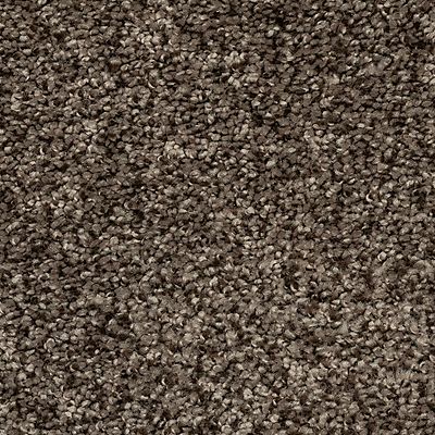 Mohawk - Nomad - Soft Direction I - EverStrand Soft Appeal - Carpet