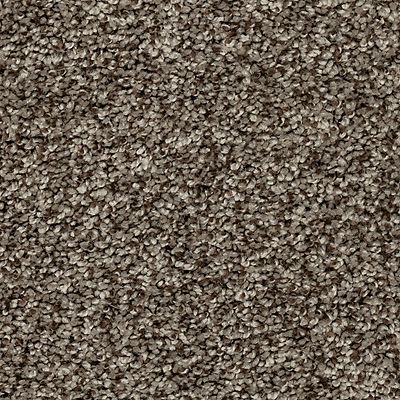 Mohawk - Outback - Soft Direction III - EverStrand Soft Appeal - Carpet