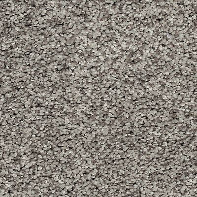 Mohawk - Notion - Soft Direction III - EverStrand Soft Appeal - Carpet
