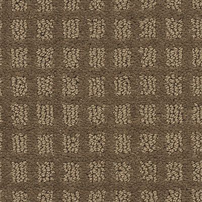 Mohawk - Tortoise Shell - City Sights II - SmartStrand - Carpet