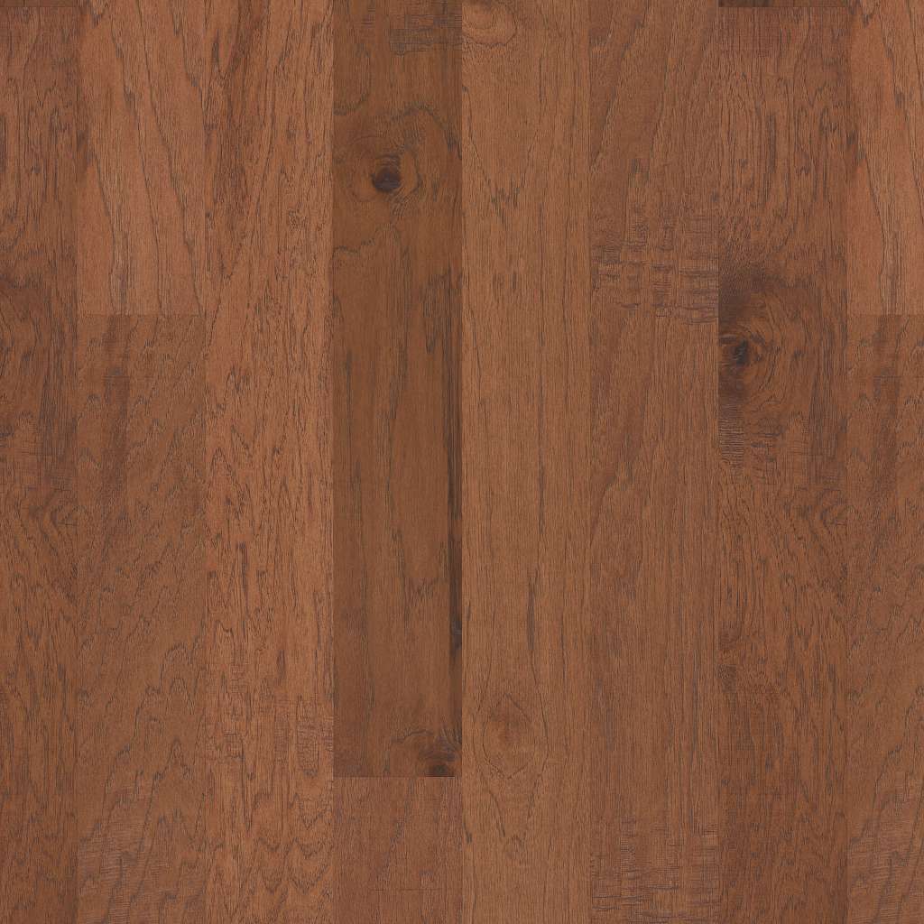 Shaw Floors - 00221 Cider - SA029 CHAMPION HILL - SFA - Hardwood