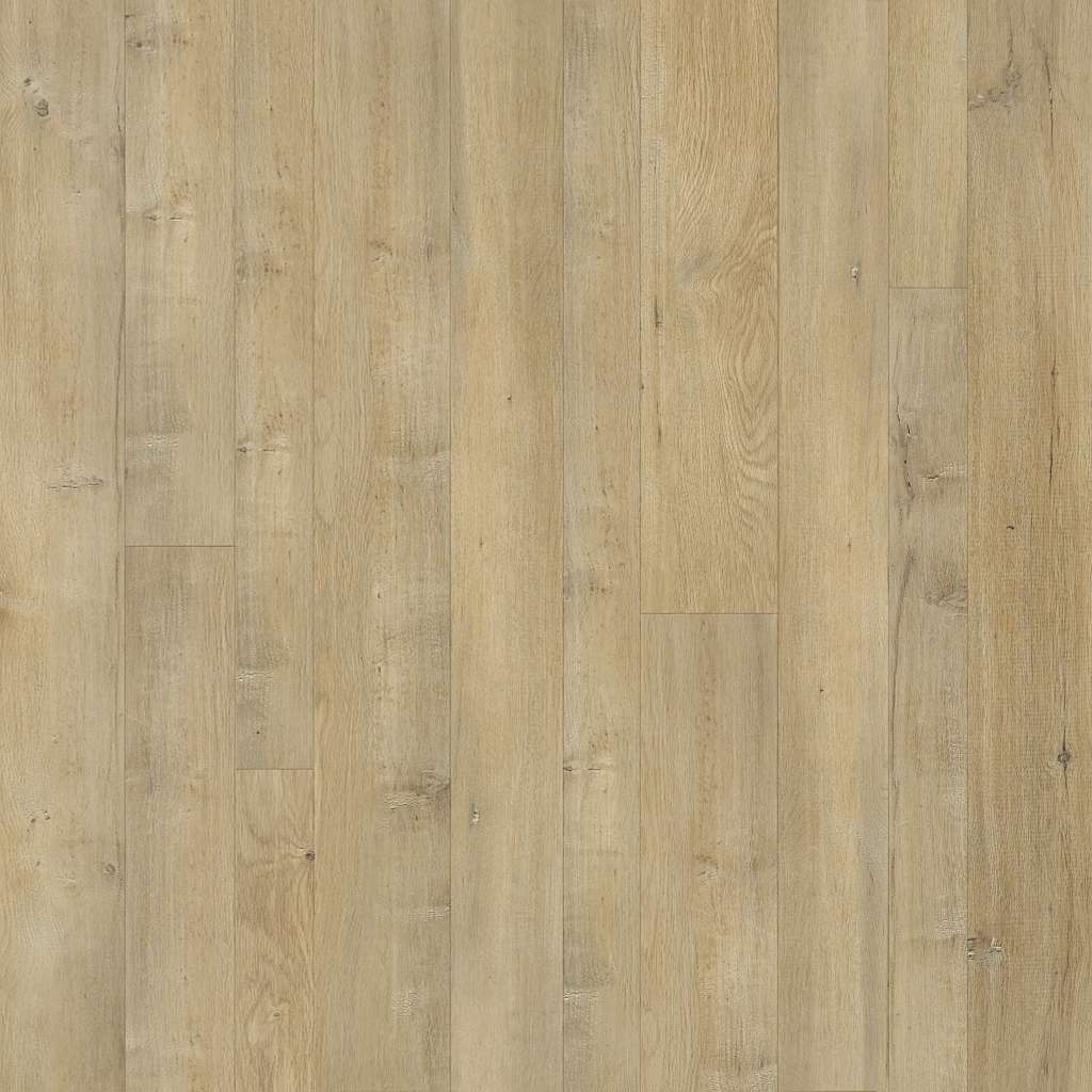 Shaw Floors - 01004 Forge - SA584 CASTLE RIDGE - SFA - Laminate