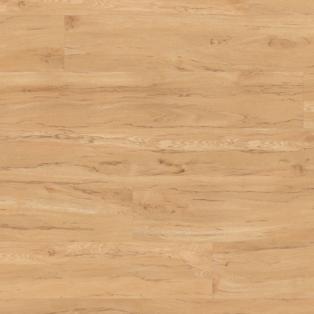 Karndean Flooring - Macrocapra - Van Gogh - Glue down - Vinyl plank - Commercial