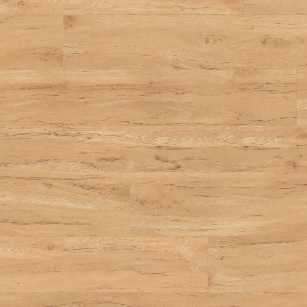 Karndean Flooring - Macrocapra - Van Gogh - Glue down - Vinyl plank