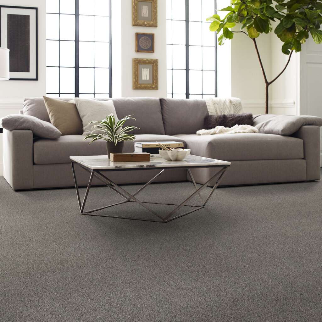 Shaw Floors - 00104 Split Sediment - 5E270 CALM SERENITY I - Pet Perfect Plus - Carpet