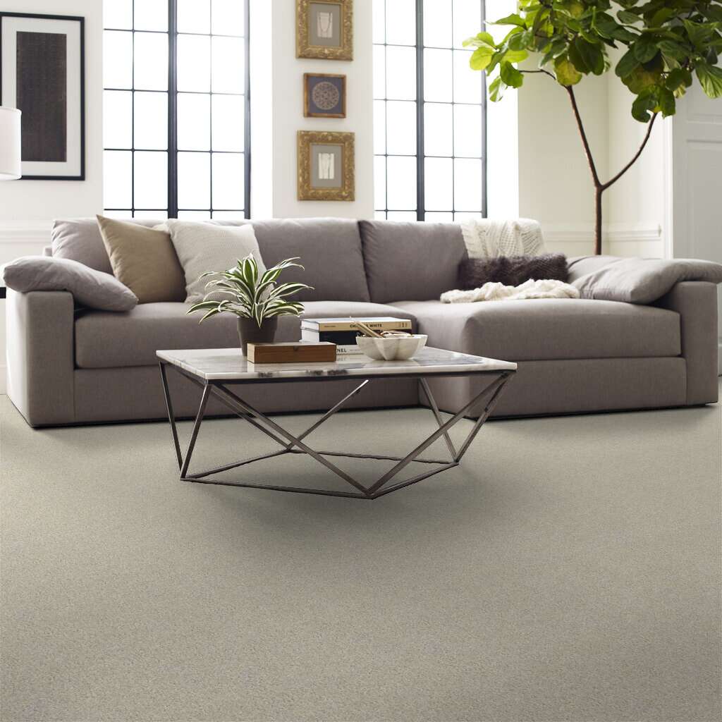 Shaw Floors - 00100 China Pearl - E0650 MY CHOICE I - SOFT SHADES - Carpet