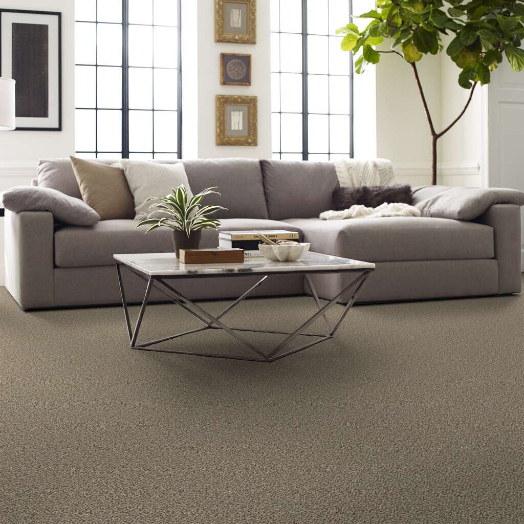 Shaw Floors - 00100 Sea Shell - E9288 BECAUSE WE CAN III 15' - Simply The Best - Carpet