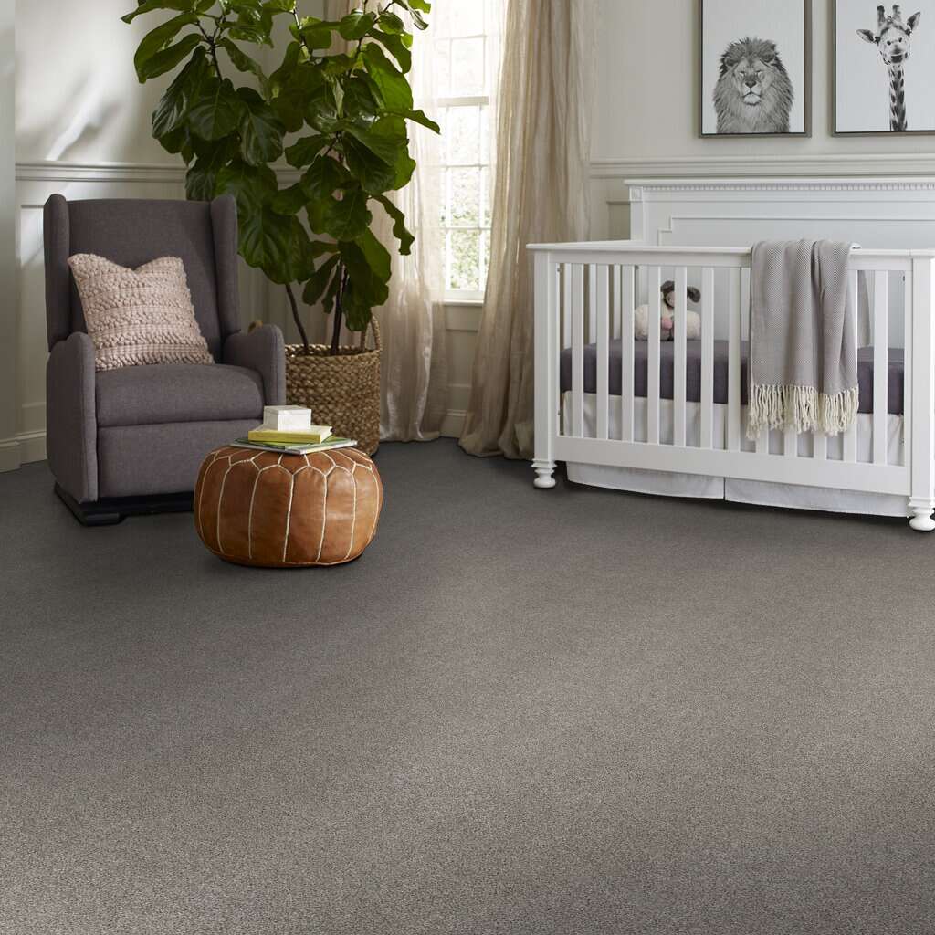 Shaw Floors - 00104 Split Sediment - 5E270 CALM SERENITY I - Pet Perfect Plus - Carpet