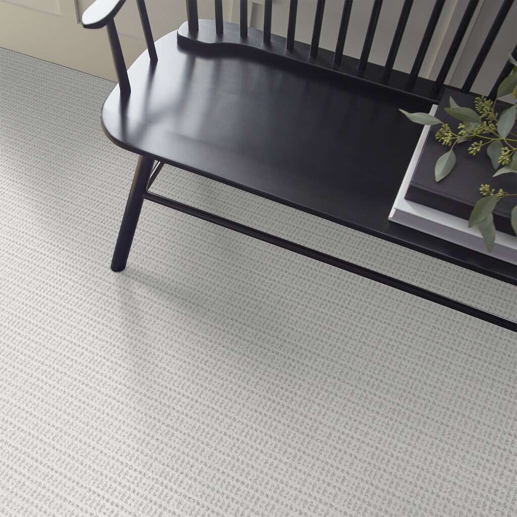 Shaw Floors - 00100 Snow Cap - 5E274 CHARMING TRANSITION - Pet Perfect Plus - Carpet