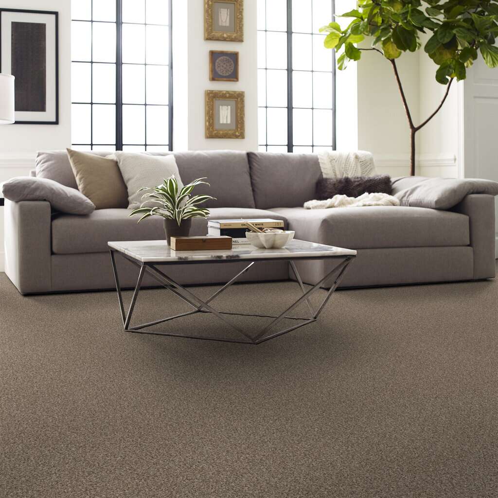 Shaw Floors - 00100 Sea Shell - 5E570 YES YOU CAN III 12' - Pet Perfect - Carpet